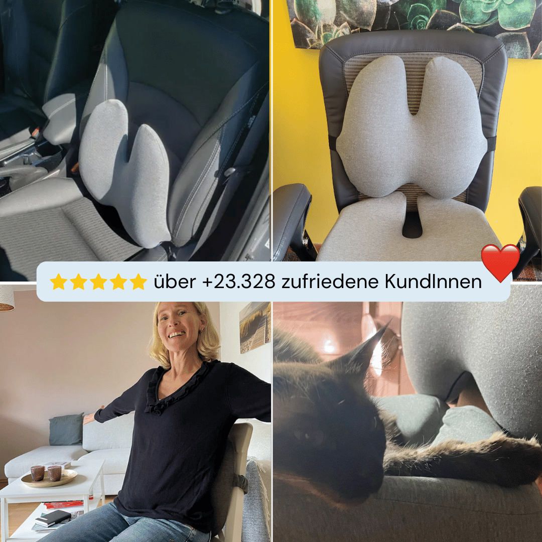 Das Rückentherapie Kissen
